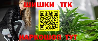 индика Ливны