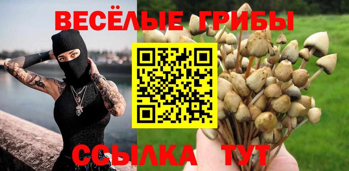 Галлюциногенные грибы ЛСД Ессентуки